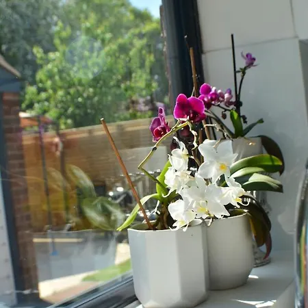 Pearl Cottage Leeds- Detached Two Bed Cottage, Large Private Gardens